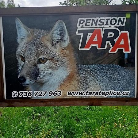 Pension Tara Teplice nad Metuji Ngoại thất bức ảnh