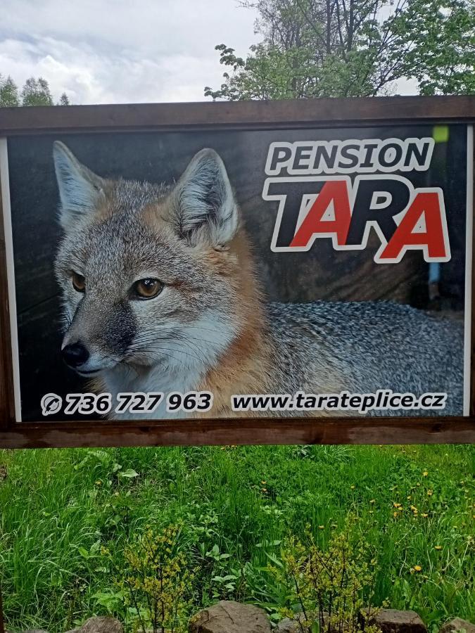 Pension Tara Teplice nad Metuji Ngoại thất bức ảnh
